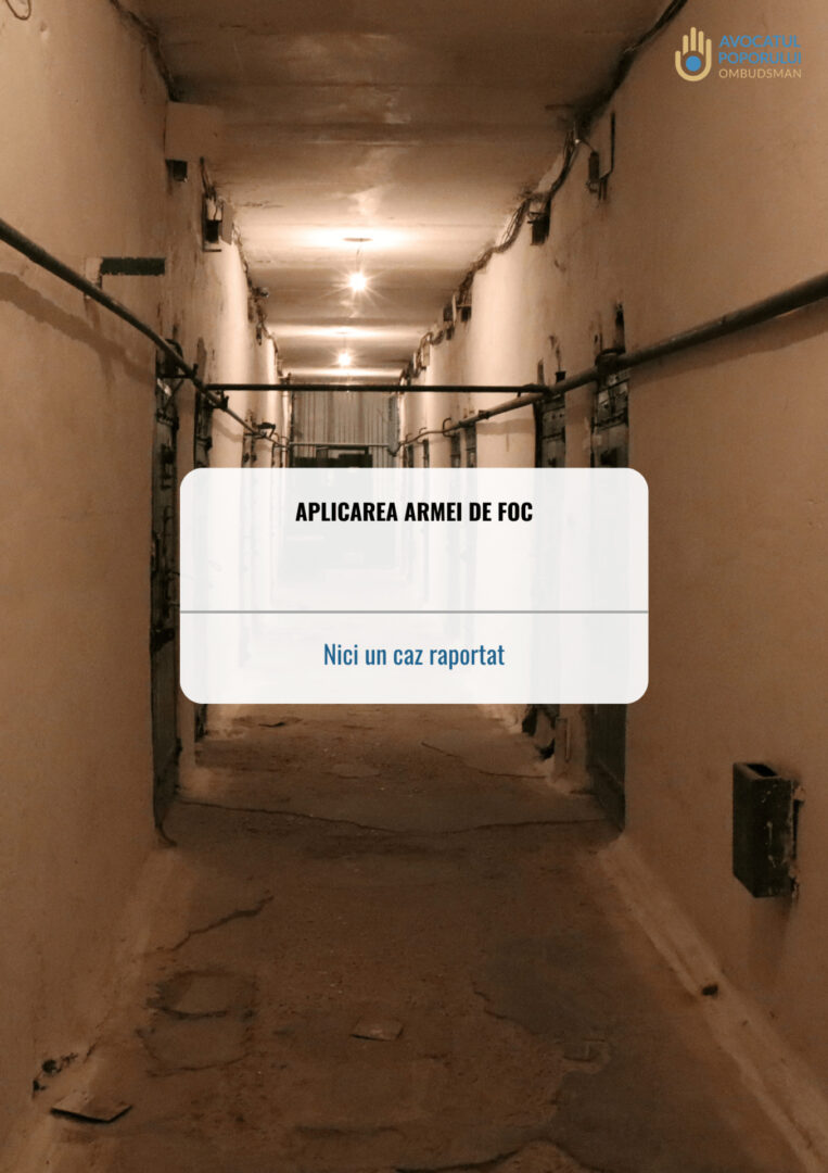 gallery img
