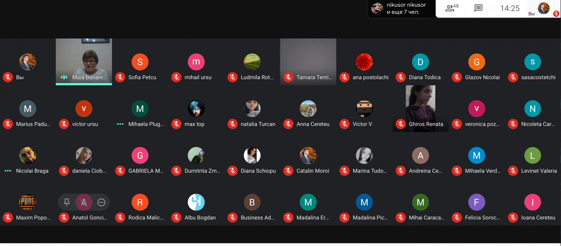 gallery img