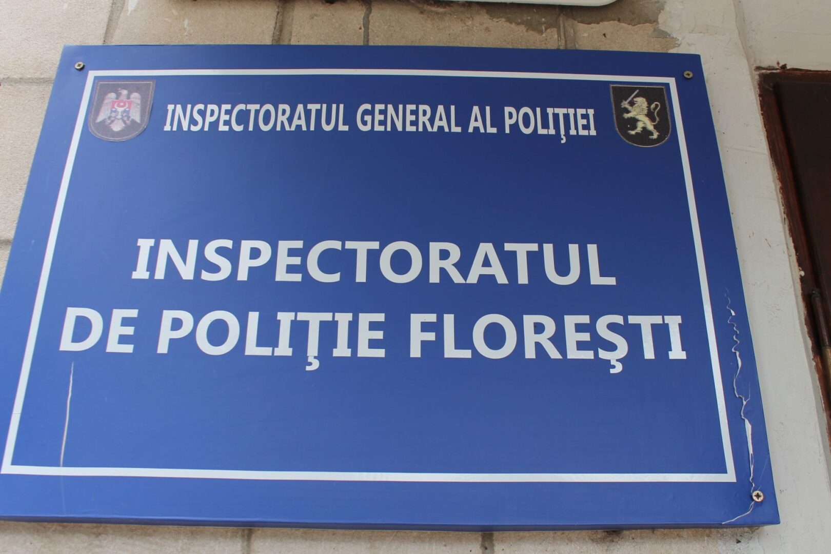 gallery img