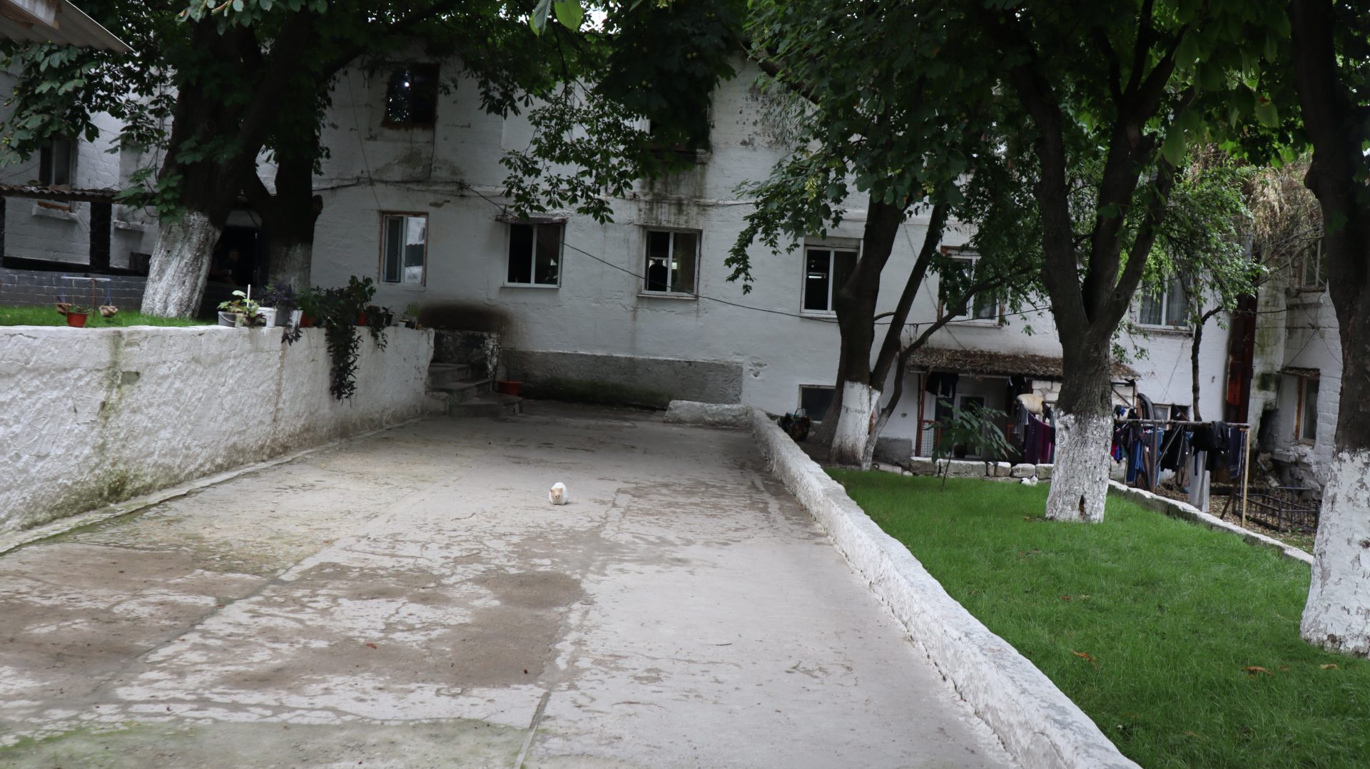 gallery img