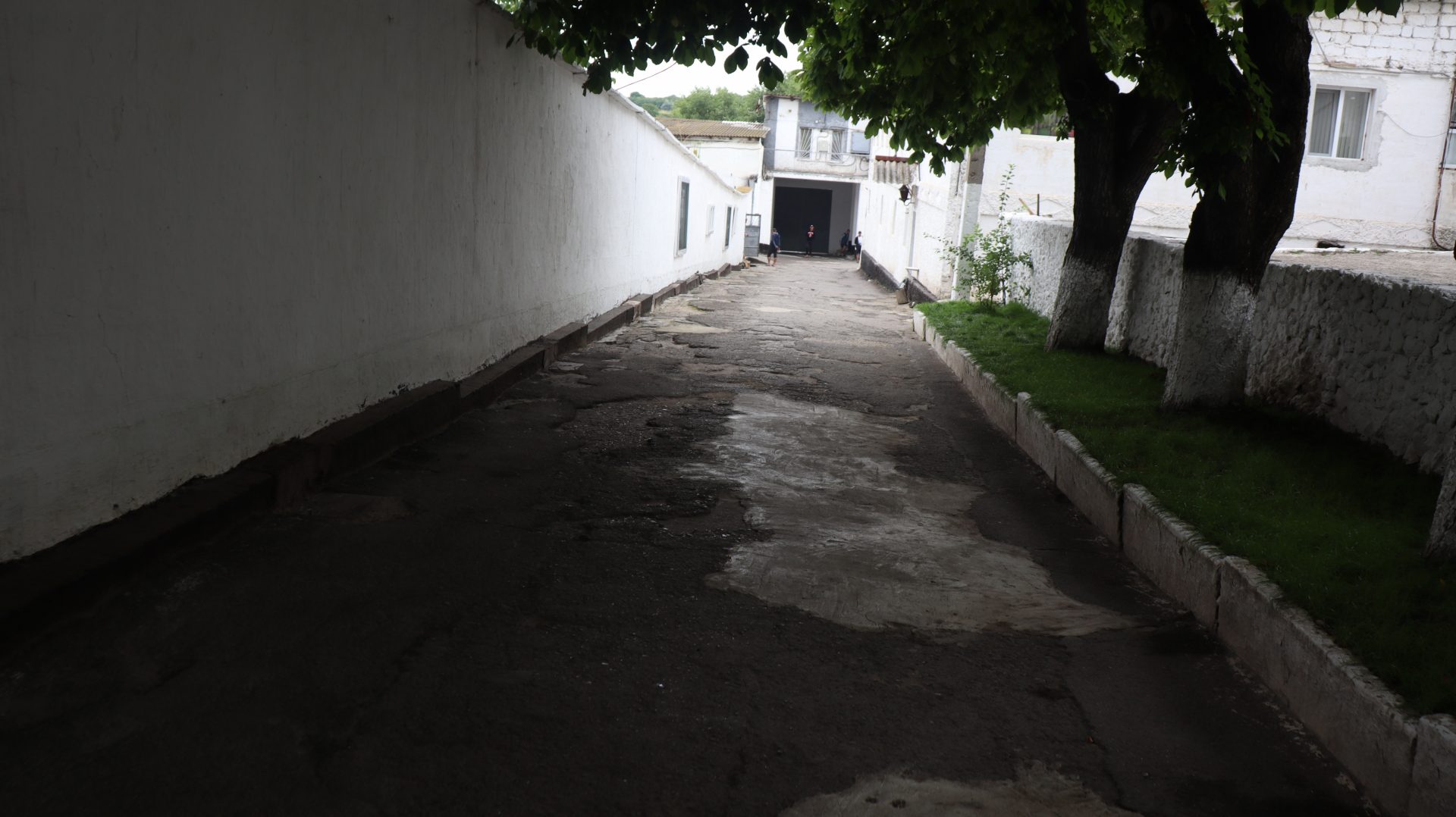 gallery img