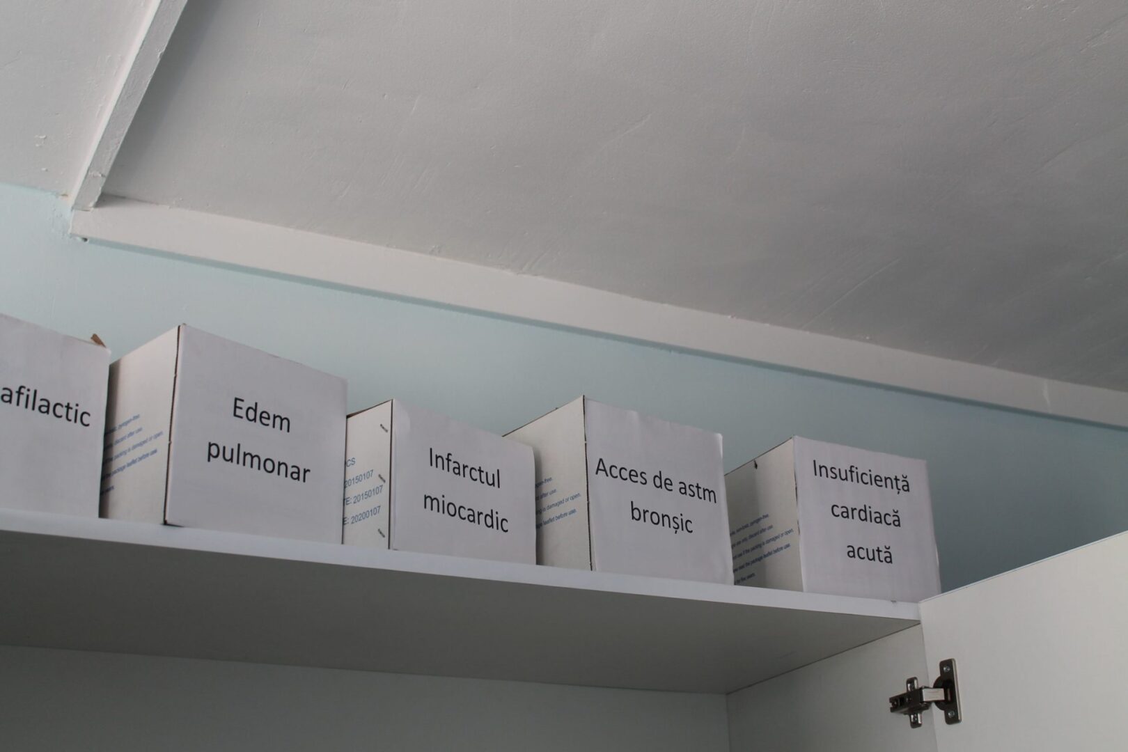 gallery img